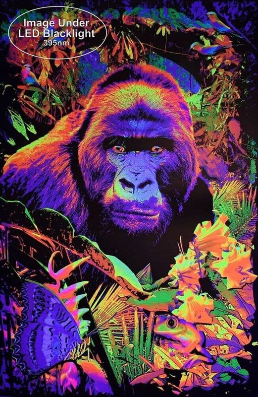 Studio B Gorilla Encounter Blacklight Poster 24&quot;x36&quot; B449