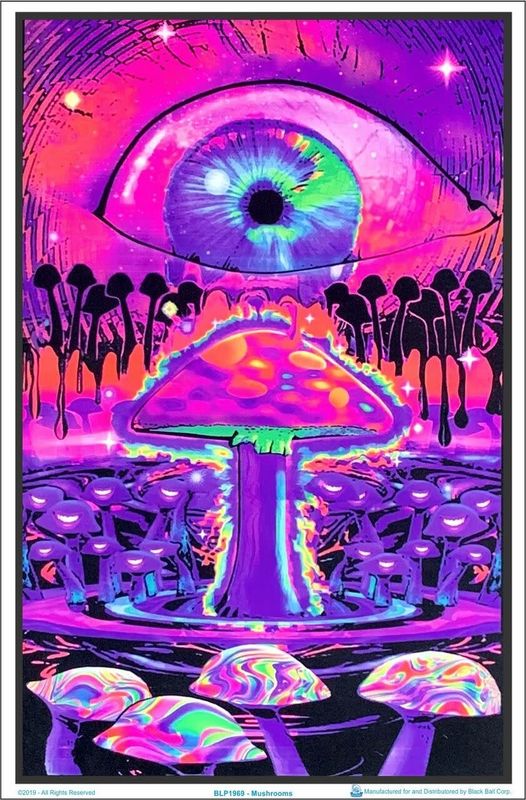 Magic Mushroom Blacklight Poster 24&quot;x36&quot;BLP1969