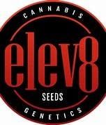 Elev8 Seeds 6pk Feminized Bakers Fruit
