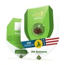 Royal Queen Seeds 3pk Autoflowering Fat Banana