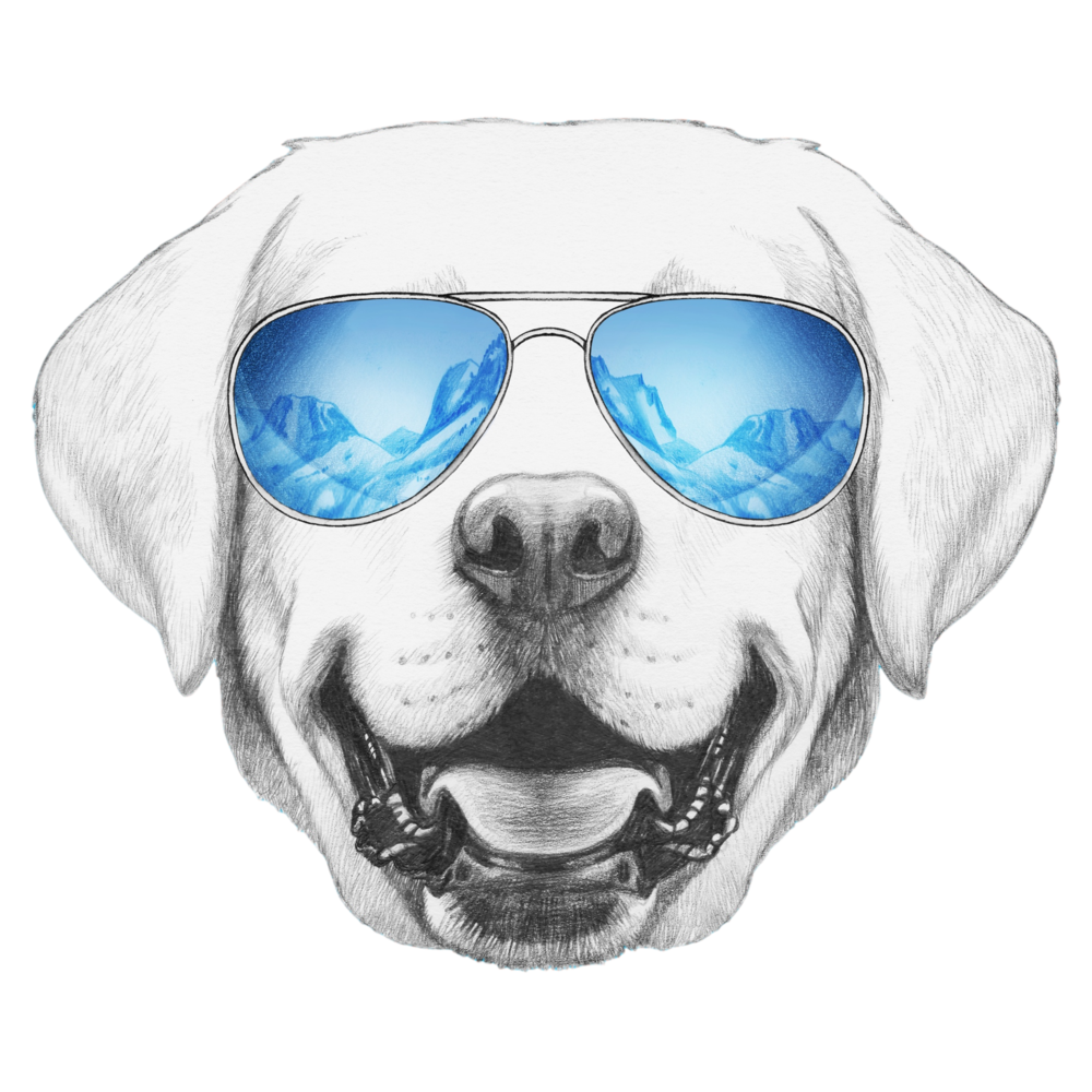 Fresh Fresheners Assorted Sense