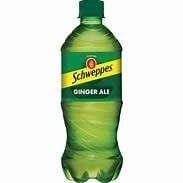 Schweppes Ginger Ale 20fl oz