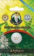 Crop King Seeds World Class Cannabis Seeds 5pk Afghani
