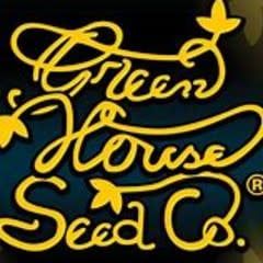 Green House Seed Co Jack Herer Auto Seeds