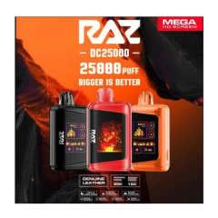 RAZ DC25000 Rechargeable Disposable Blueberry Watermelon
