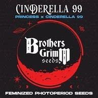 Brothers Grimm Seeds Cinderella 99  XX 4pk
