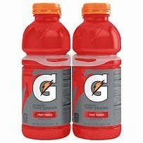 Gatorade Fruit Punch 20fl oz