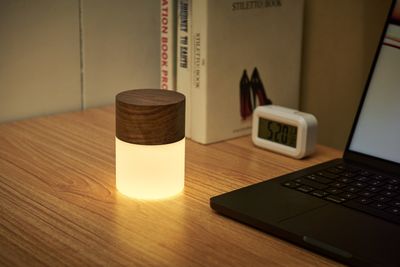 Grande lampe Lemelia