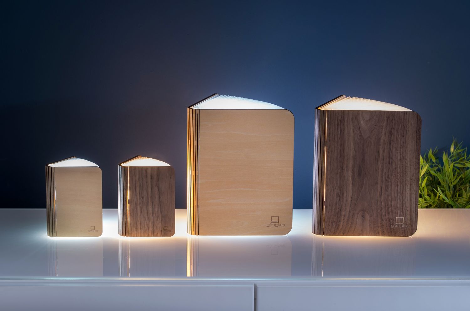 Lampe livre en bois - grande