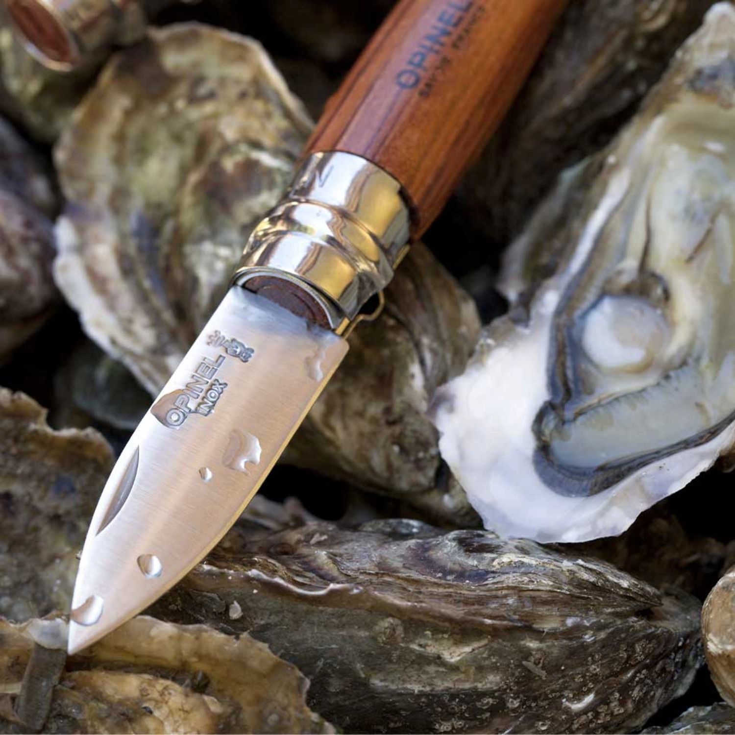 Opinel - Couteau à huîtres &amp; coquillages No 09