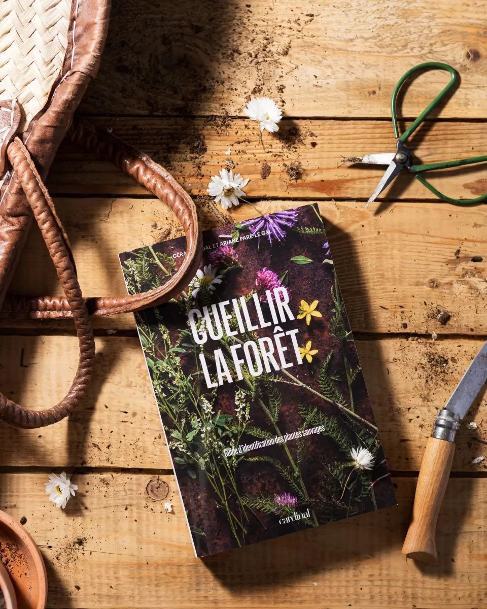 LIVRE : Ceuillir la Forêt 480 p. (Qc)