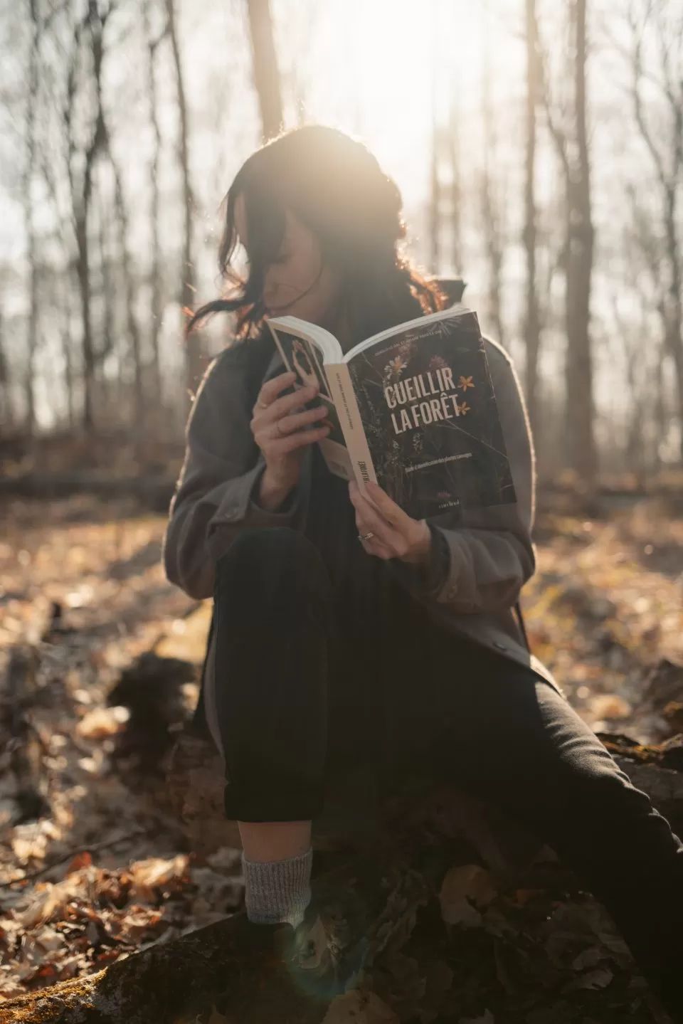 LIVRE : Ceuillir la Forêt 480 p. (Qc)