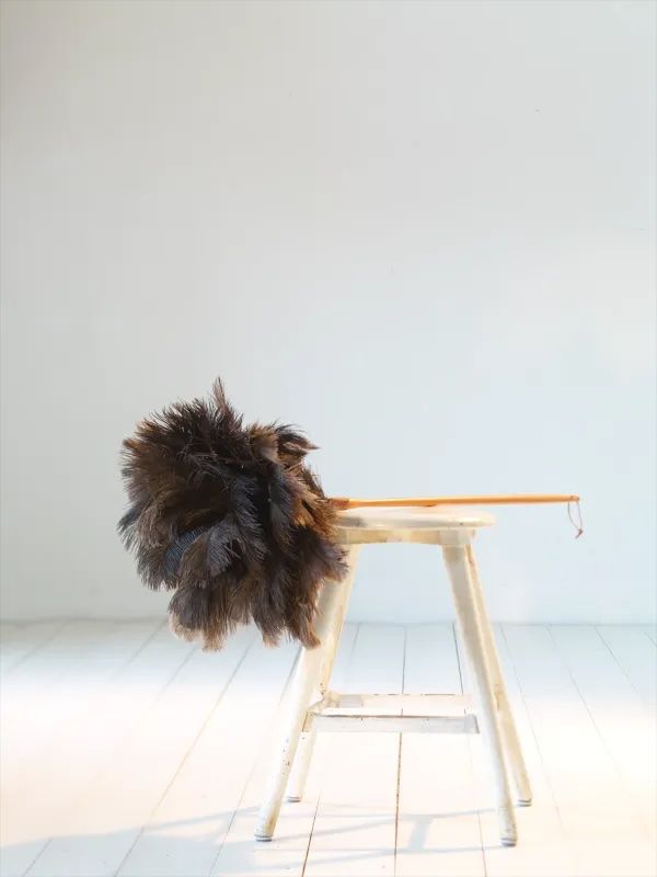 Plumeau en plumes d&#39;autruche avec gaine de cuir, manche luxueux, large sommet de 110cm