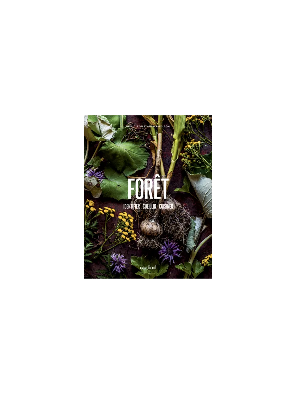 Livre FORÊT :  Identifier Cueiller Cuisiner (Qc)