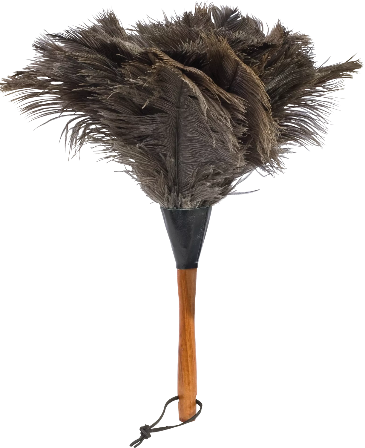 Plumeau en plumes d&#39;autruche bois verni 35 cm