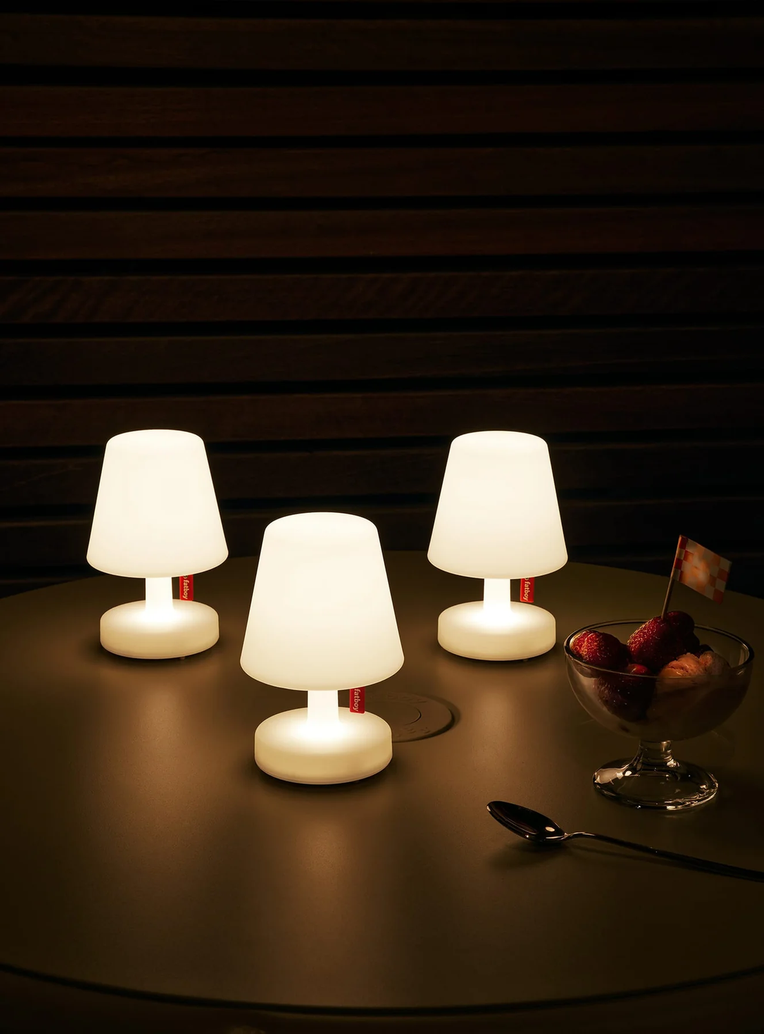 EDISON le mini X 3 : intérieur, extérieur,  chargeur, gradateur