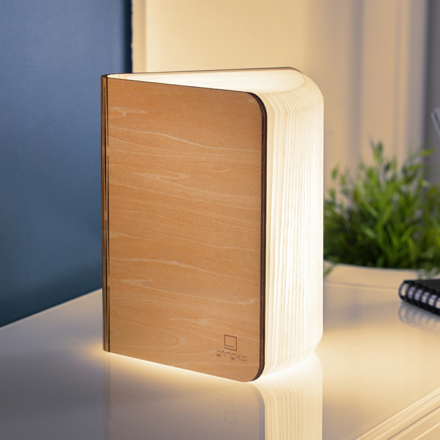 Lampe livre en bois - grande
