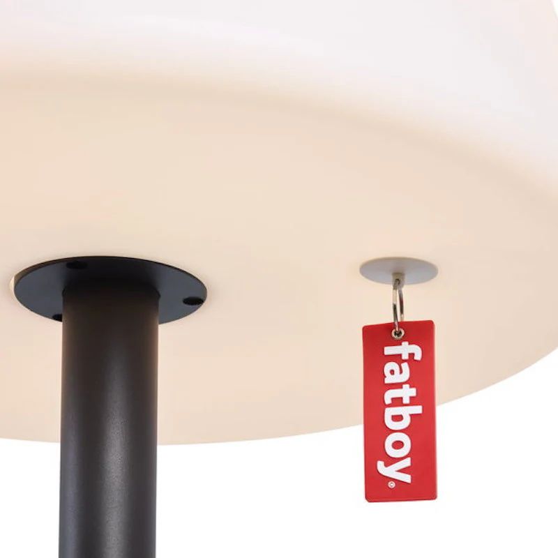 EDISON LE GIANT pour l&#39;intérieur ou l&#39;extérieur en vert pâle