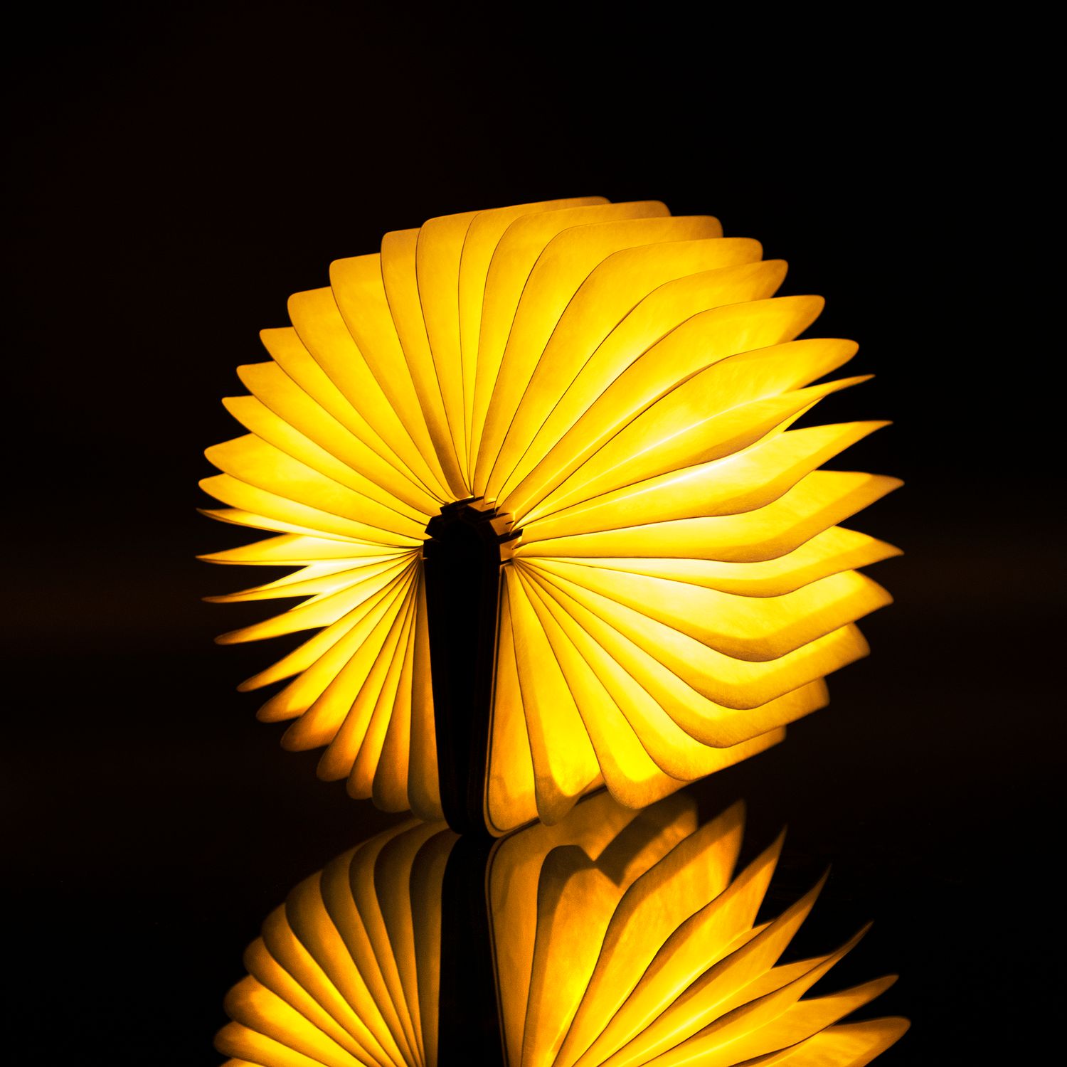 Lampe livre en bois - petite