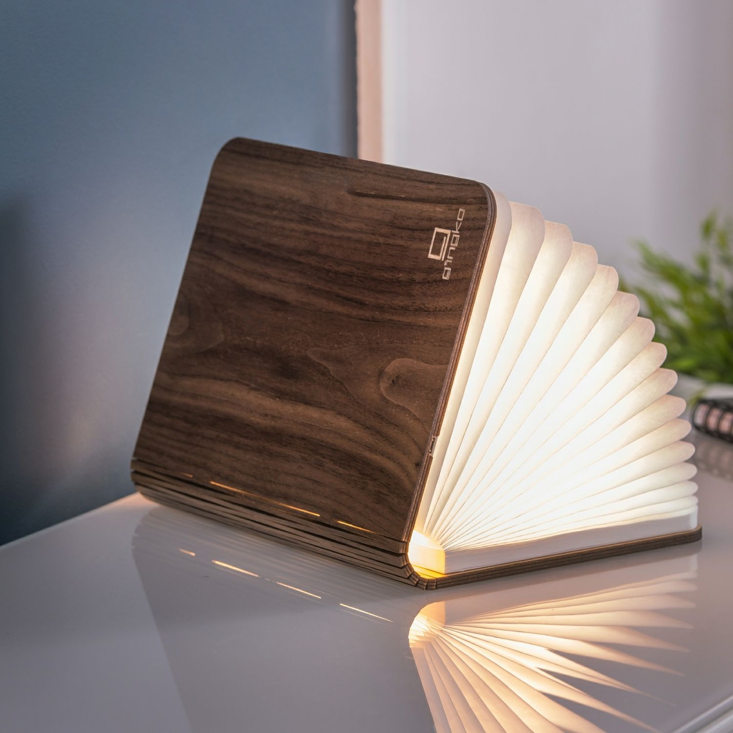 Lampe livre en bois - grande