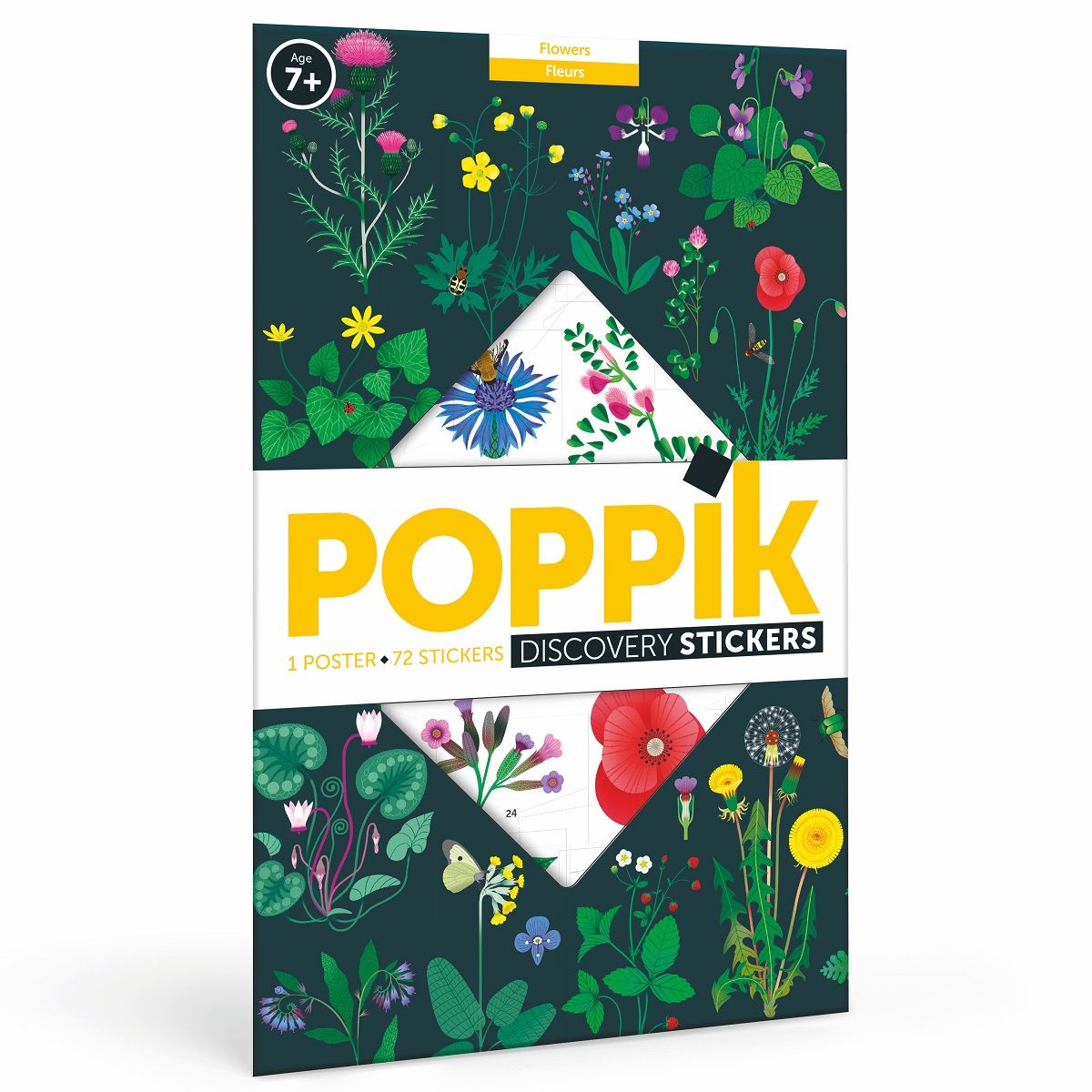 Giant educational poster FLOWERS