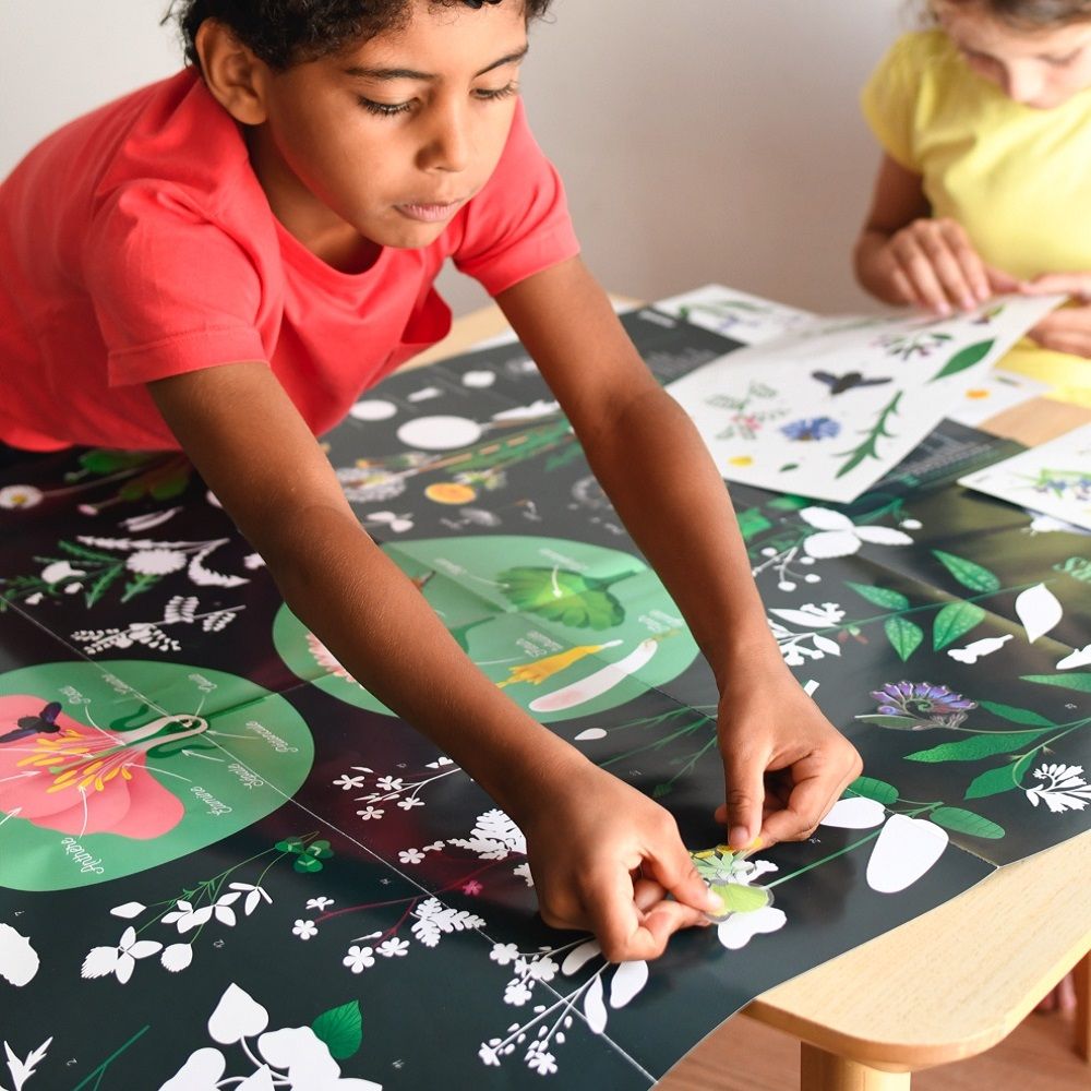Giant educational poster FLOWERS
