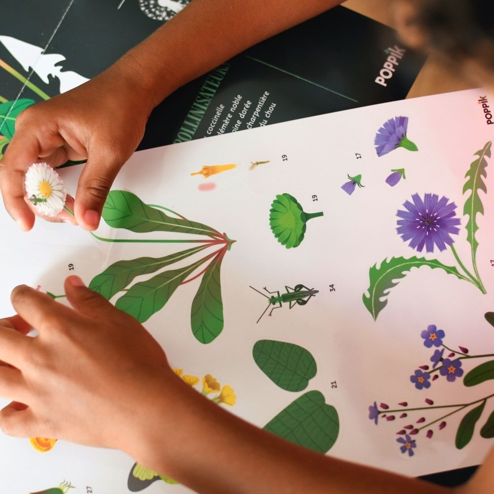 Giant educational poster FLOWERS