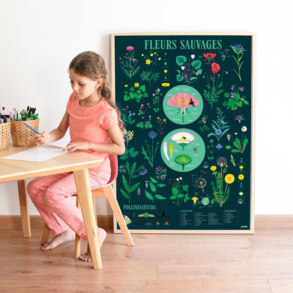 Giant educational poster FLOWERS