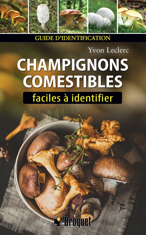 Champignons comestibles facile à identifier (Nouvelle édition)