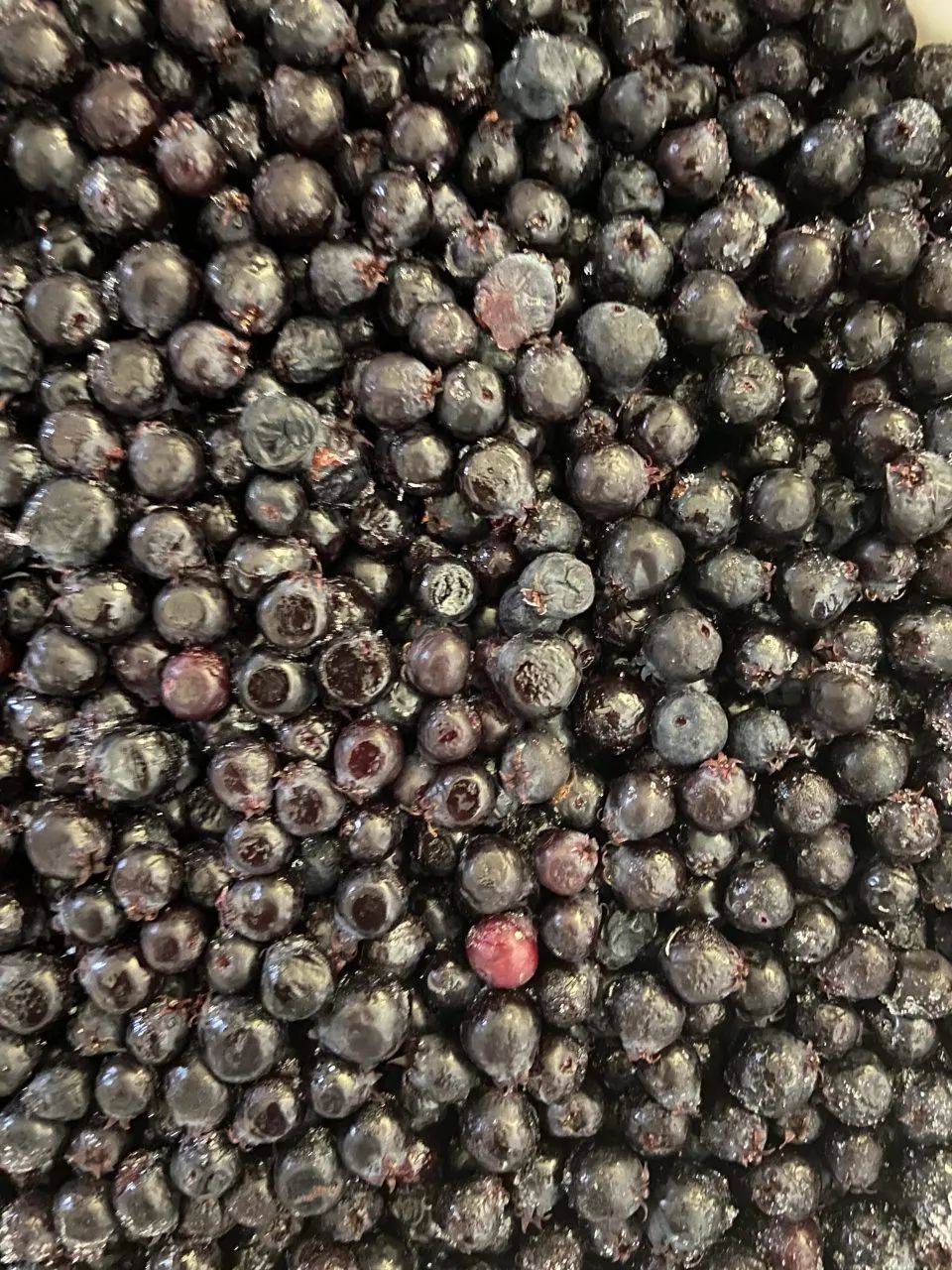 Confiture d'amélanches cuillies à la main 190ml (Qc)