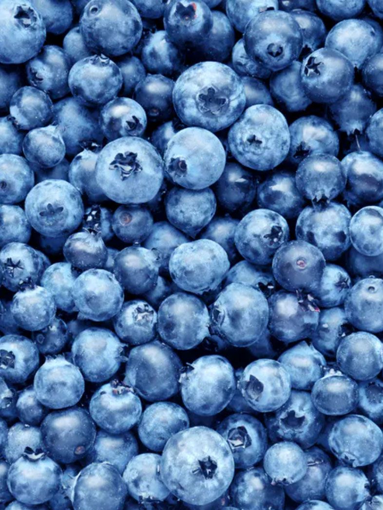 Confiture de bleuets sauvages ceuillis à la main 190ml (Qc)