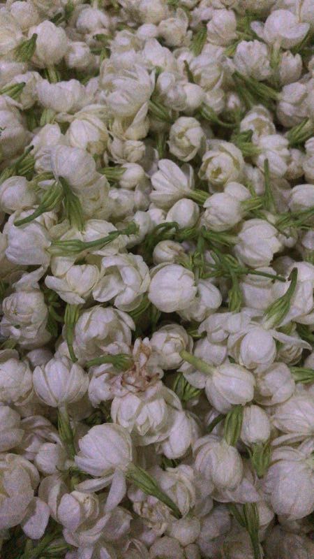 Thé aromatisé - Perles au jasmin (75g)