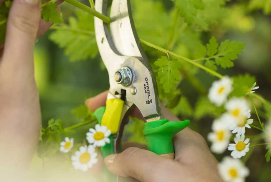 Opinel - Sécateur Vert 3 positions (Fr)