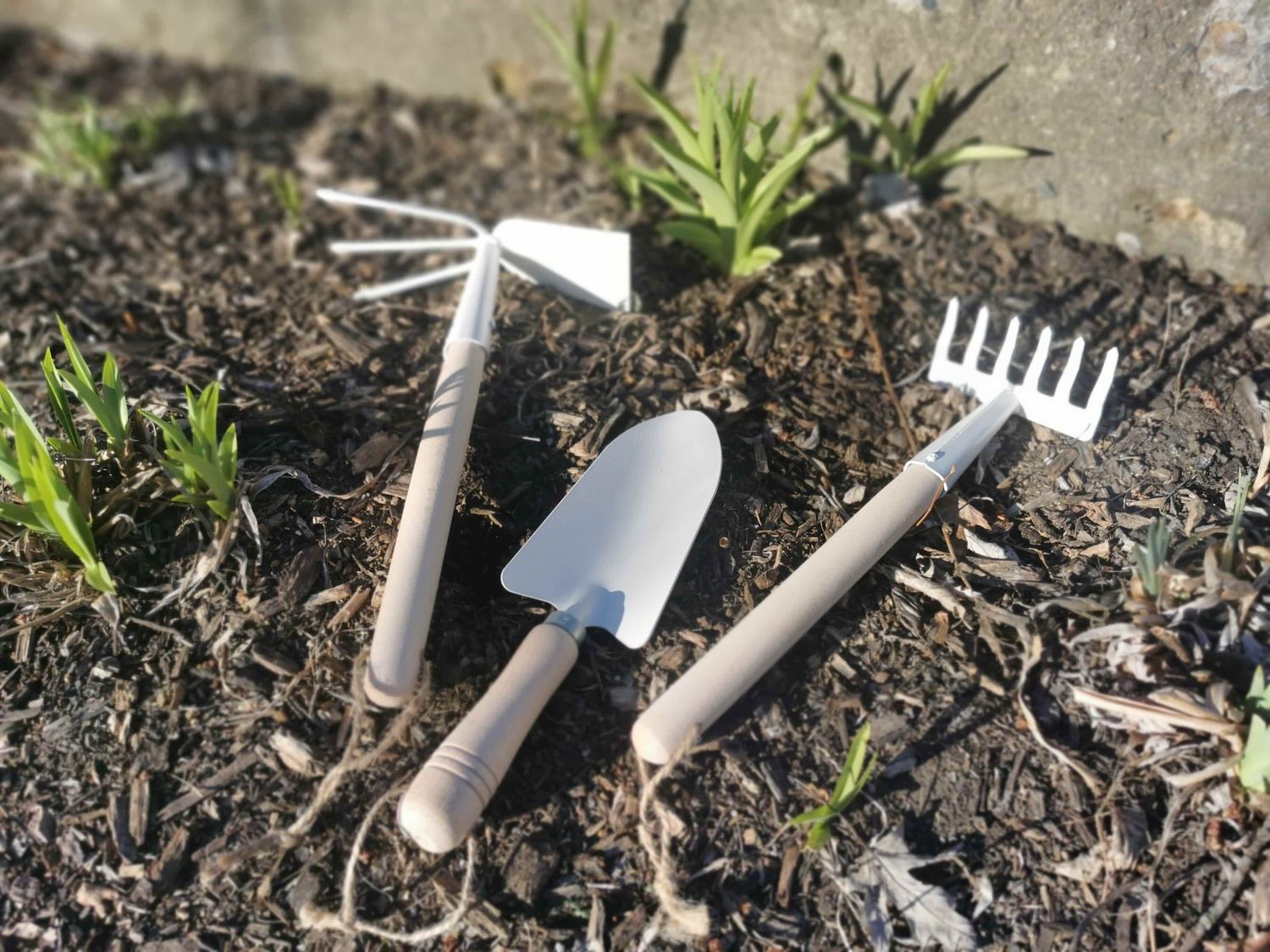 Pelle, pioche et râteau - Ensemble d&#39;outils de jardinage en hêtre ciré et métal  (All)