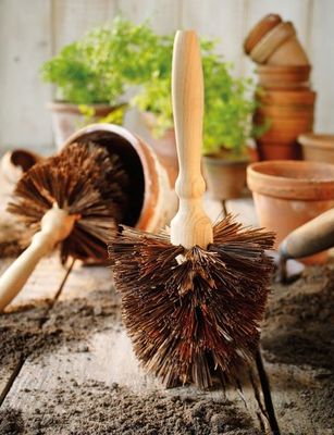 Brosse à pot de fleurs conique en hêtre huilé (All)