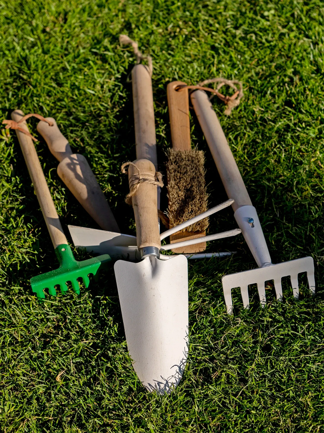 Brosse pour outils de jardin avec grattoir (All)
