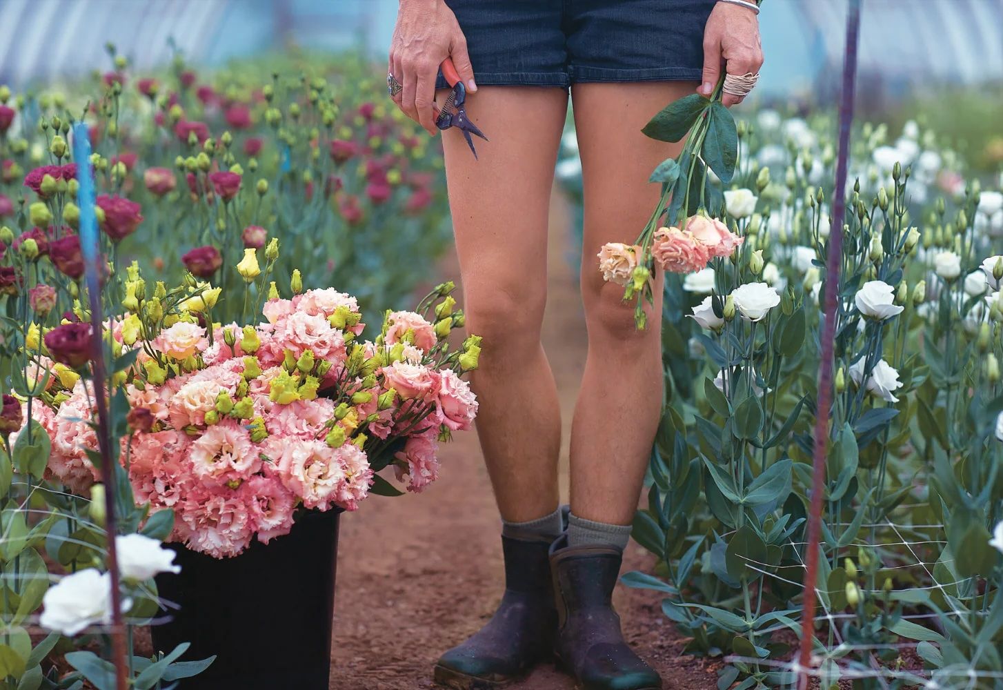 Floramama, Du jardin au bouquet : tout sur la culture des fleurs (Qc)