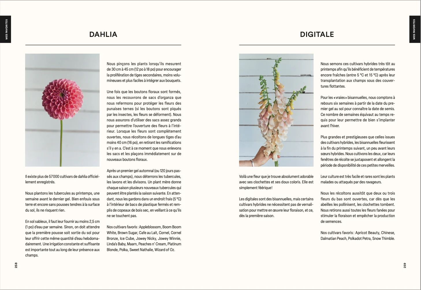 Floramama, Du jardin au bouquet : tout sur la culture des fleurs (Qc)