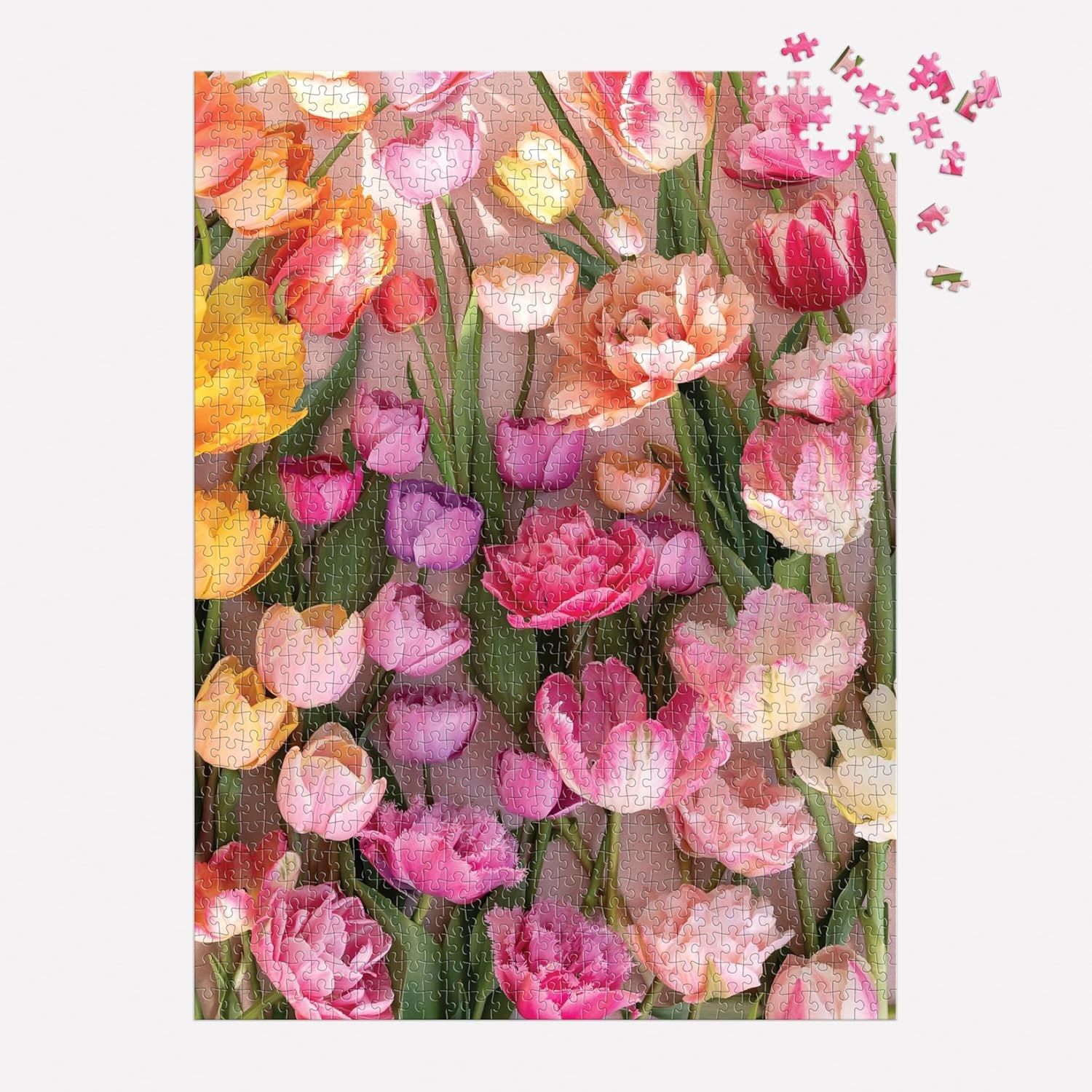 Ephemeral Tulips - Casse-tête 1000 mcx