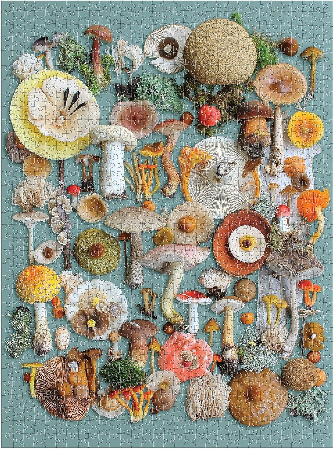 Foragés | Foraged - Casse-tête 1000 mcx