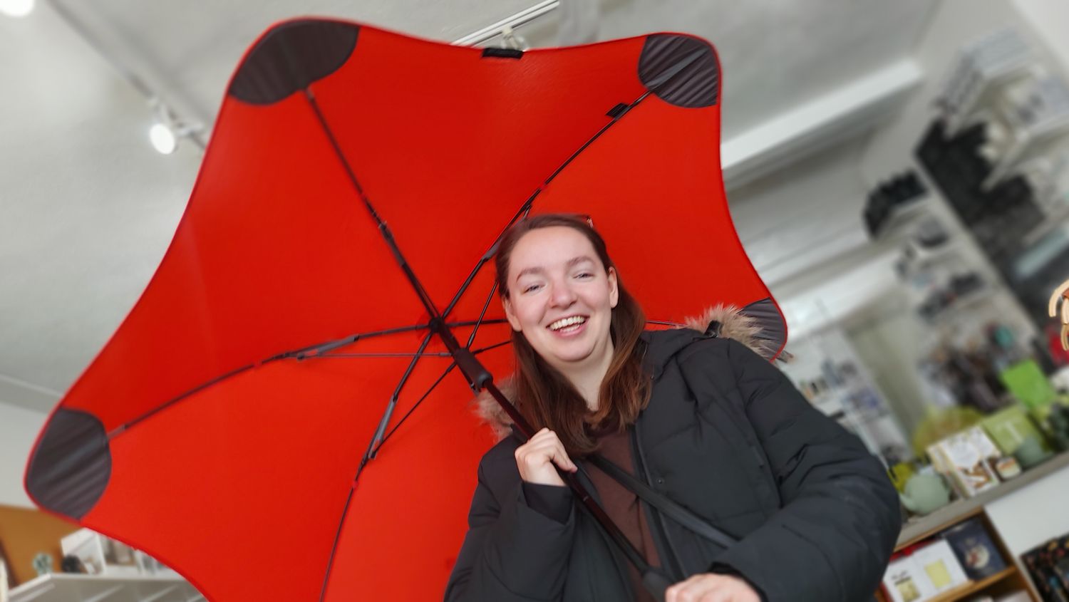 Parapluie Blunt -  Le « Classique »