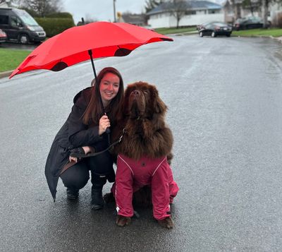 Parapluie Blunt -  Le « Classique »