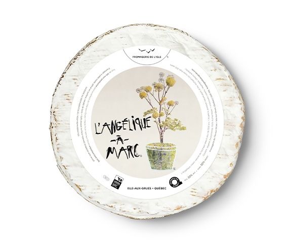 *** Dépôt *** - Angélique à Marc