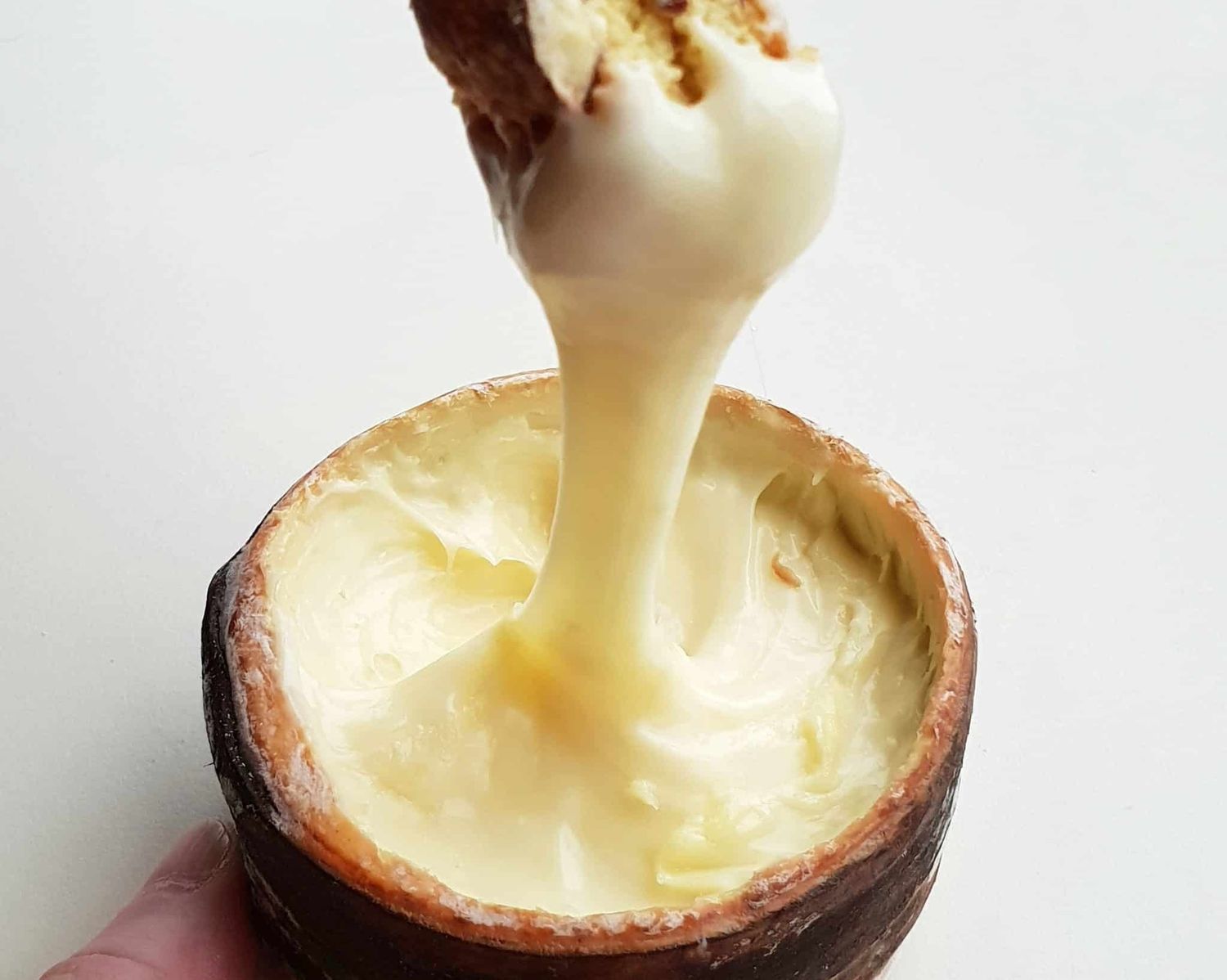 *Dépôt* Adoray des Fêtes - grand format