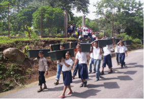 Jardinière Capillaire Écologique - Saison 2026 (Mex)