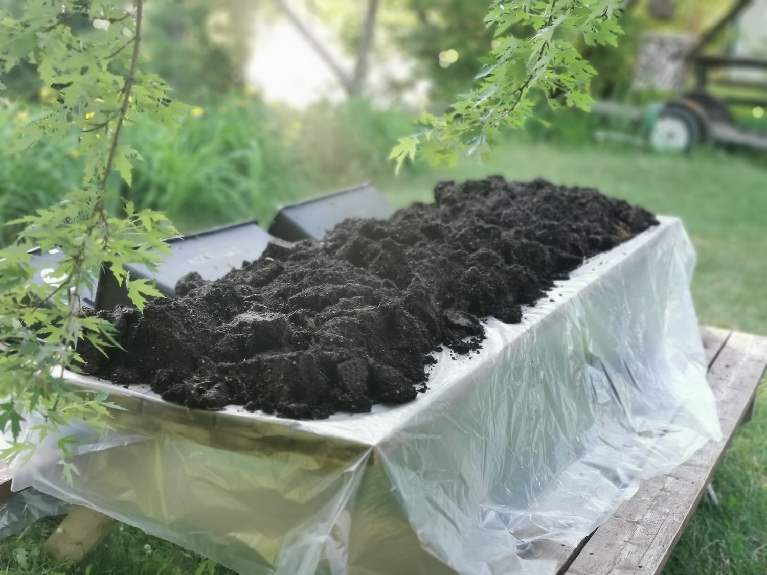 ENGRAIS pour la JARINIÈRE CAPILLAIRE (Qc)