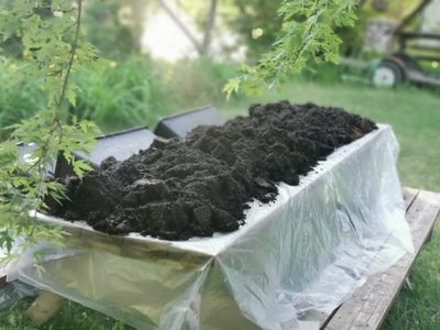 ENGRAIS pour la JARINIÈRE CAPILLAIRE (Qc)
