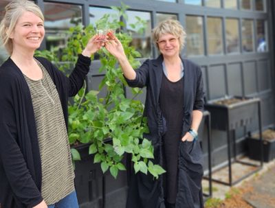 Remplissage de terreau pour la jardinière capillaire (Qc)