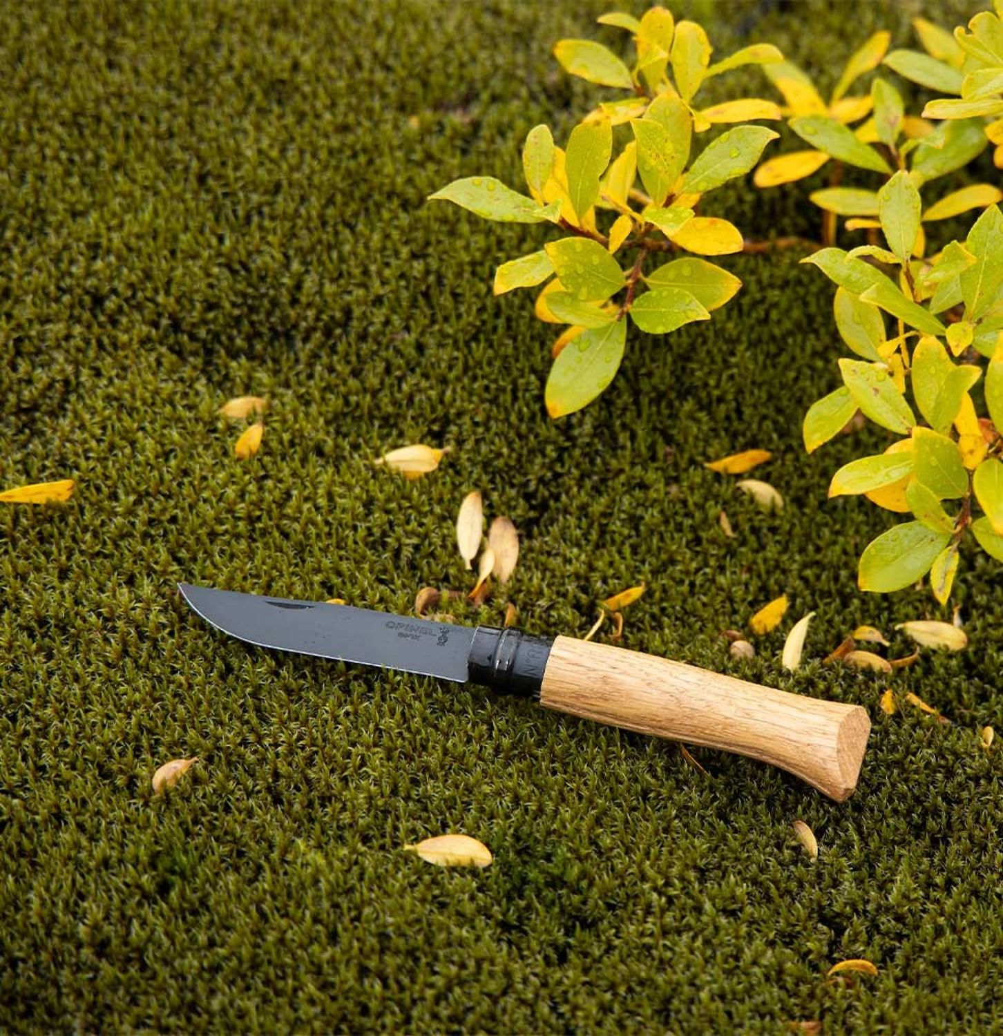 Opinel #8 Édition Manche Chêne lame en acier noire