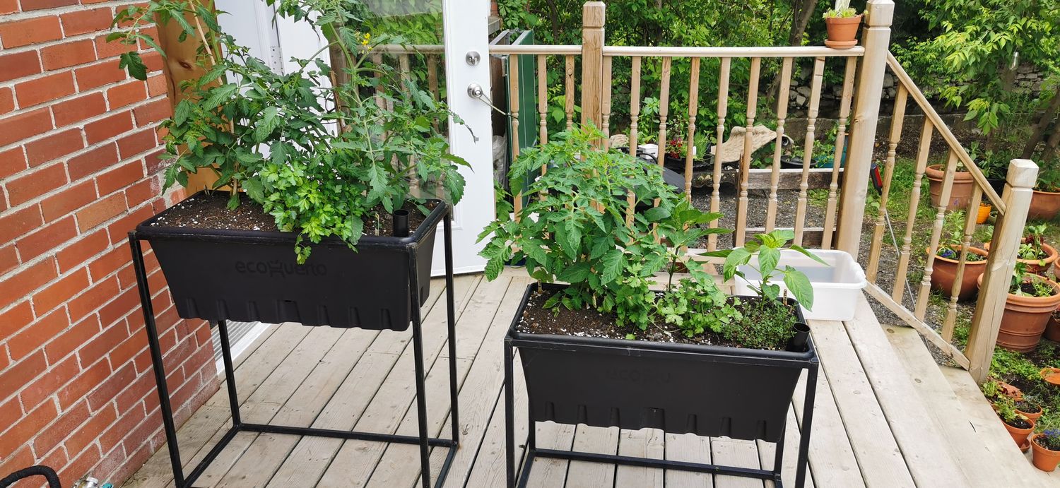 JARDIN Clé-en-main pour la JARDINIÈRE CAPILLAIRE (Qc)